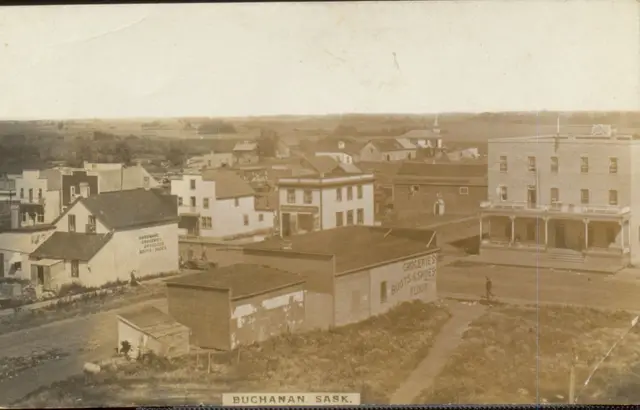 Elevated view of Buchanan's main street and buildings